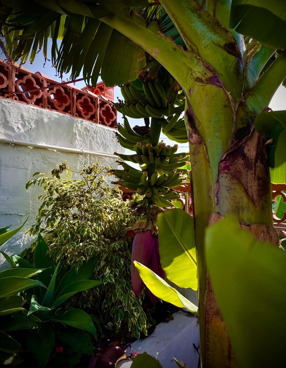 Villa Casa Cucú Tazacorte Exterior foto